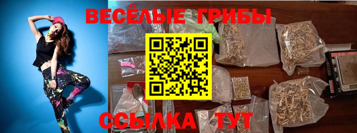 Псилоцибиновые грибы Psilocybe Абинск